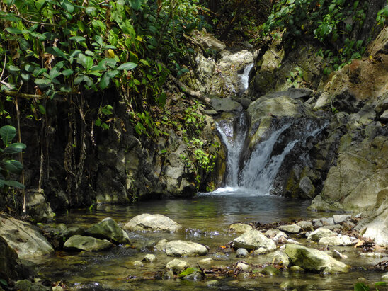 Puerto Jiménez