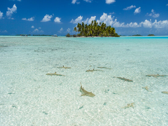 French Polynesia