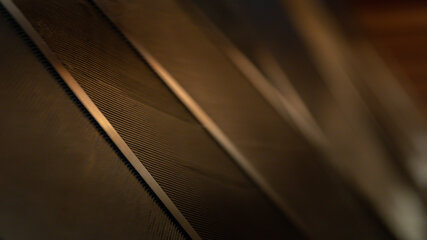 Gallery Item 88
