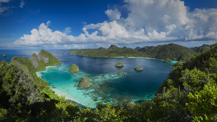 Papua New Guinea