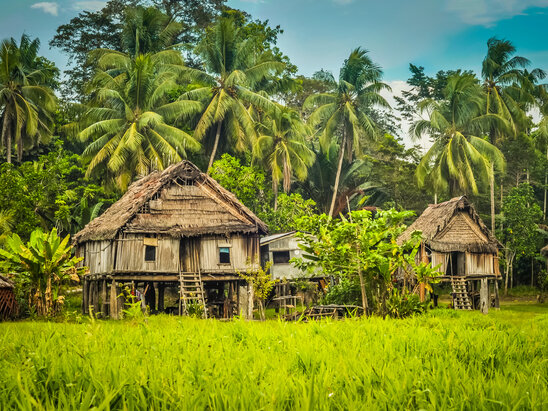 Sepik River