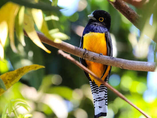 Corcovado National Park