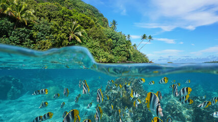 French Polynesia