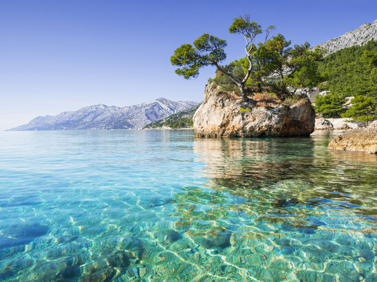 The Dalmatian Coast