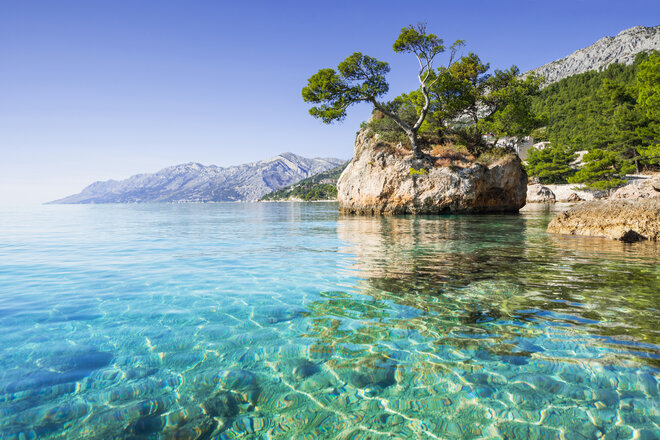 The Dalmatian Coast