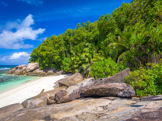 Sainte Anne Marine National Park